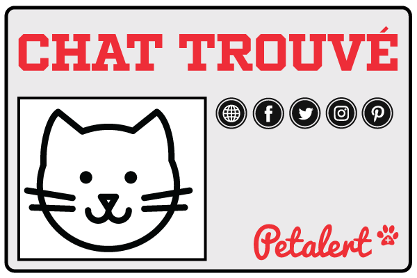 PetAlert post your cat review